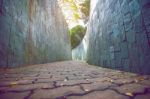 Walkway In Park Stock Photo