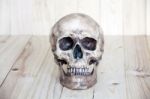 Human Skull On Wood Background Stock Photo