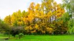 Autumn Season In Russia Moscow Stock Photo