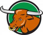 Texas Longhorn Bull Head Circle Cartoon Stock Photo