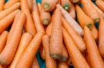 Carrot Stock Photo