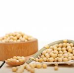 Organic Soya Beans Stock Photo