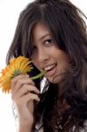 Lovely Female With Gerbera Stock Photo