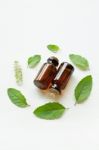 Holy Basil Essential Oil With Leaves Stock Photo