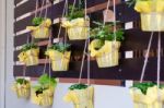 Foliage Plant In Pots Hang On Battens Stock Photo