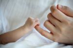 New Born Baby's Hand Gripping Mother Finger Stock Photo