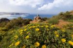 Coastal Algarve Region Stock Photo