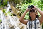 Girl Using Binoculars In Forest Stock Photo