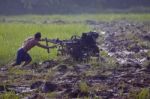 Bangkok Thailand -may 13- Unidentified People Preparing Land For Stock Photo