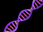 Dna Stock Photo