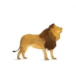 Abstract Lion Stock Photo