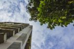 Tall Skyscraper Next To A Tree Stock Photo