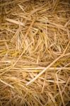 Straw Background Stock Photo