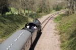 Steam Train On The Bluebell Railway Line In Sussex Stock Photo