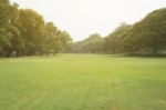 Blurred Image Of Green Park Scenery Stock Photo