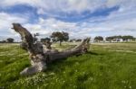 Spring Countryside Landscape Stock Photo