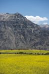 Canyon Of The Colca River In Southern Peru Stock Photo