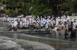 Thailand-environment-oil-pollution Stock Photo