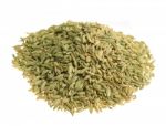 Fenchel (fennel) Isolated Stock Photo