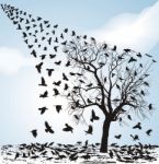 Crows On A Tree In Winter Stock Photo