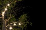 Lanterns Hanging From Tree Stock Photo