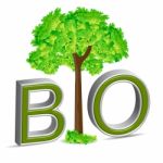 Bio Tree Stock Photo