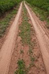 Road Track Stock Photo