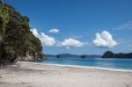 Beach Near Hahei Stock Photo