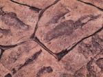 Brown Stone Walkway Stock Photo