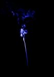 Smoke In Black Background Stock Photo