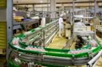 Egg Processing Plant Near Bergamo In Italy Stock Photo