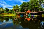 Colorful Pedal Boat In Lake Stock Photo