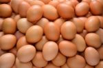 Eggs Stock Photo