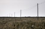 Electricity Wire On A Field Stock Photo