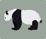 Panda Stock Photo