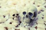 Still Life Of Human Skull With Candy Stock Photo