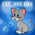 Cat Diseases Indicates Felines And Puss Illness Stock Photo