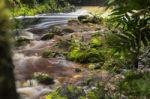 Newell Creek In Tasmania Stock Photo