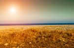 Sunset On The Beach Stock Photo