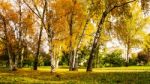 Autumn Season In Russia Moscow Stock Photo