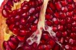 Pomegranates On White Stock Photo