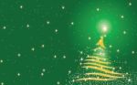 Christmas Tree Background - Green Stock Photo