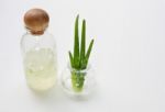 Aloe Vera Gel  On White Background Stock Photo