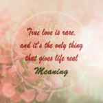 Meaningful Quote On Pink Flower Background Stock Photo