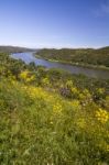 Rural Countryside Algarve View Stock Photo