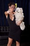 Widow Woman In Sexy Black Dress Hold White Dog And Pointin Wiht Stock Photo