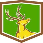 Stag Deer Looking Up Shield Cartoon Stock Photo