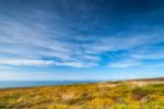 Colorful Meadow And Blue Sky Stock Photo