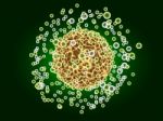 3d Render Viruses Stock Photo