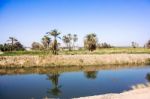 Nile Canal Stock Photo